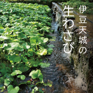 伊豆天城の生わさび 真心のおもてなし モダン宿坊 禅の湯