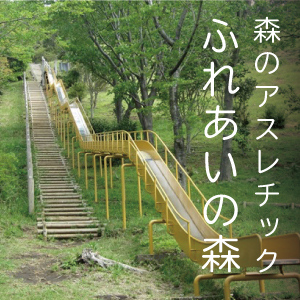 森のアスレチック ふれあいの森 ツリーハウス クロスカントリー In 伊豆 東伊豆町 稲取 無料 真心のおもてなし モダン宿坊 禅の湯